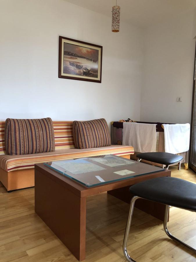 Apartments Ivan Petrovac Extérieur photo