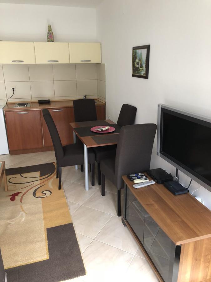 Apartments Ivan Petrovac Extérieur photo