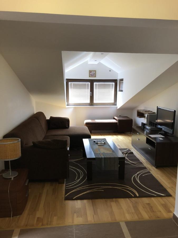Apartments Ivan Petrovac Extérieur photo